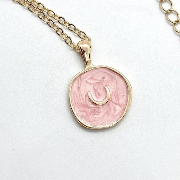 PINK Resin Horseshoe Lucky Charms Necklace - Picture 3 of 8